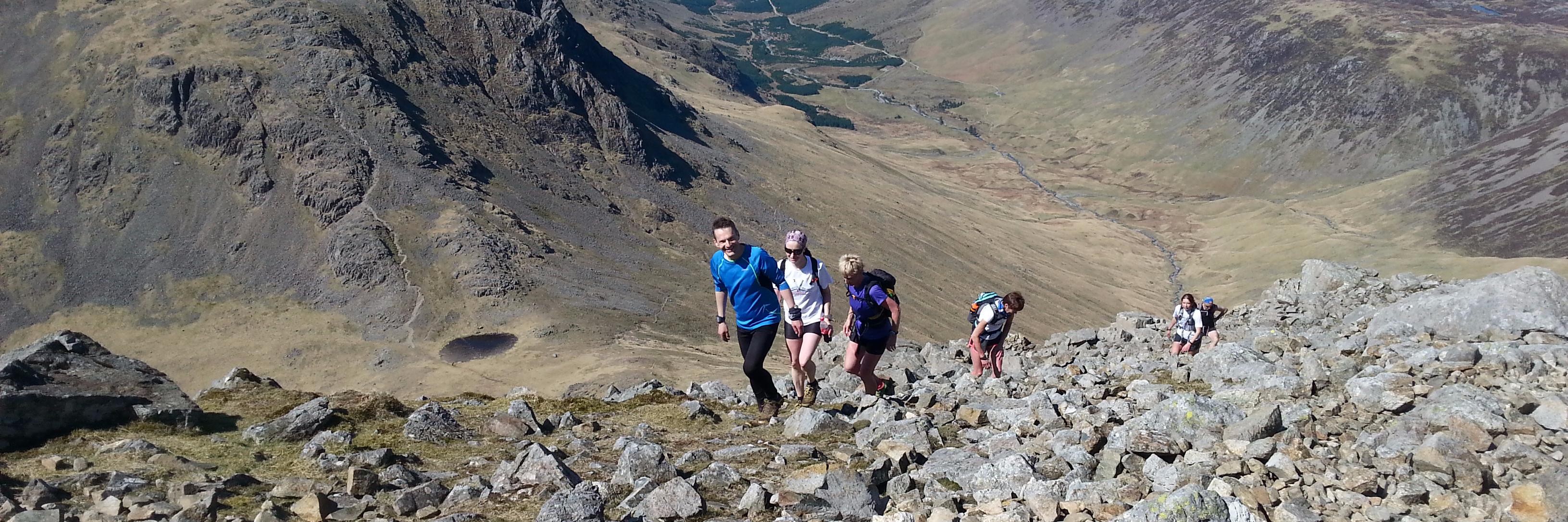 Simon Franklin banner