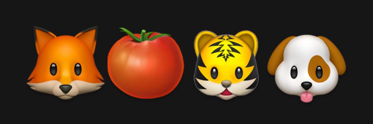 🦊🍅ผู้ปกครองน้องโซลาร์🐯🐶 banner