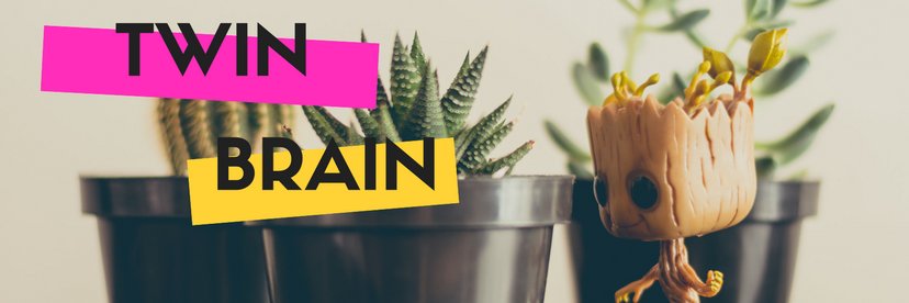 entertwinbrain's profile banner image