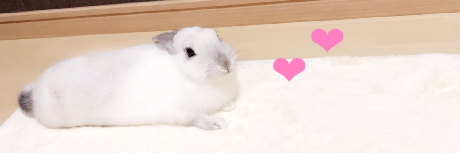 q_kapi's profile banner image