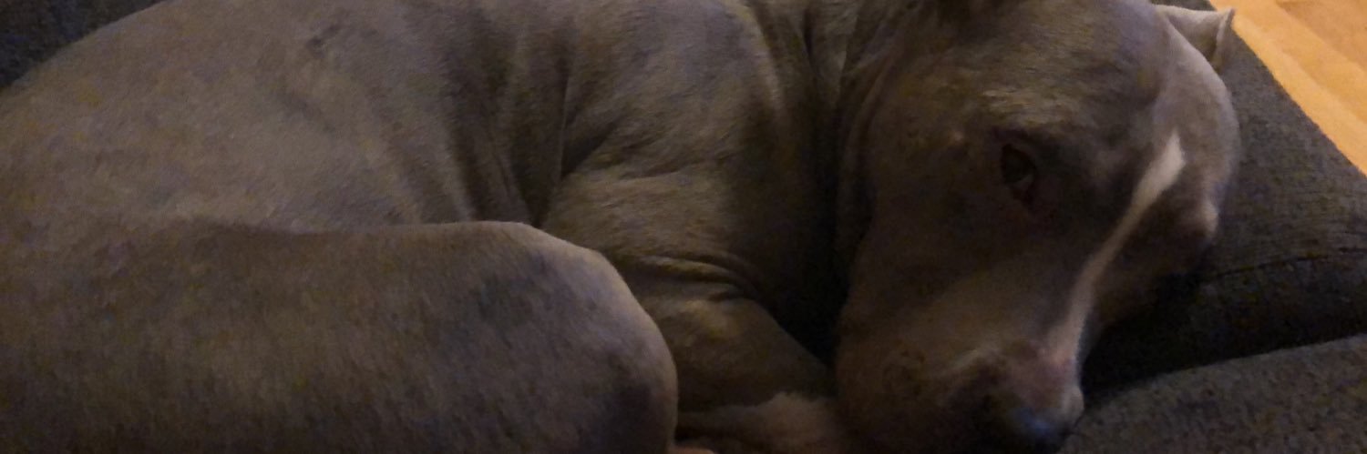 mattjw236's profile banner image