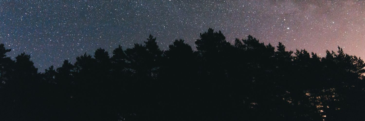 Yuri_D banner