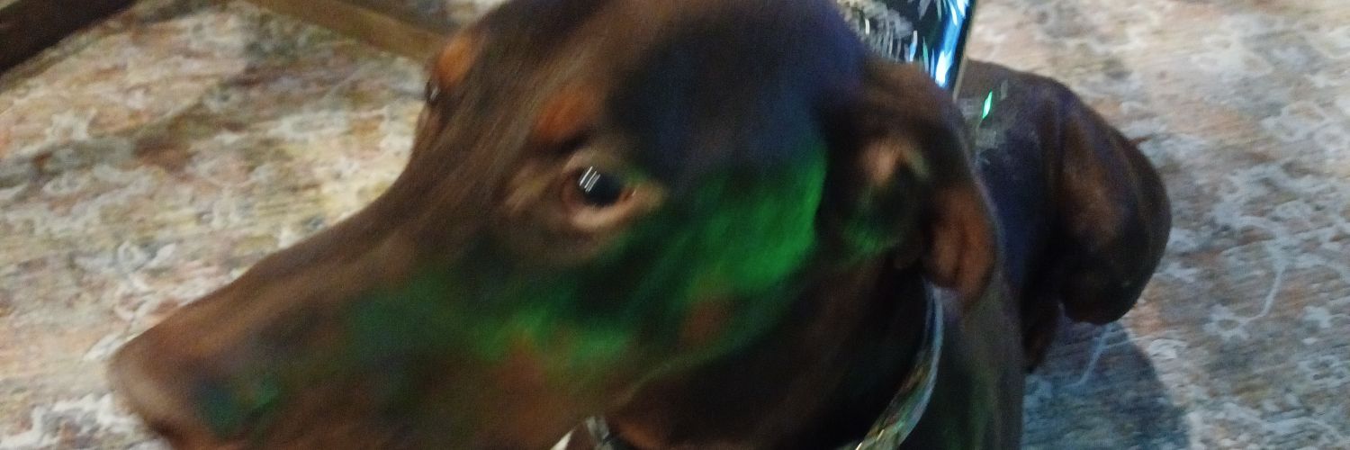 Some Wine Guy banner