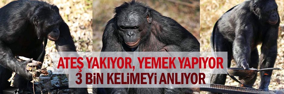 Mustafa Mert ALADAĞ banner