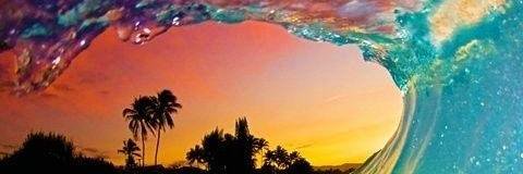 Mark Weber🏖️🇺🇸 banner