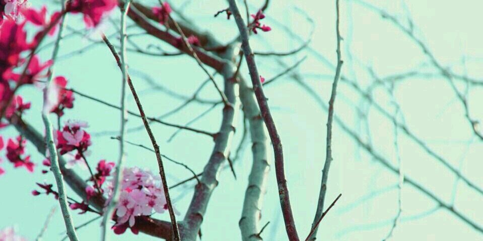 binka_fi's profile banner image