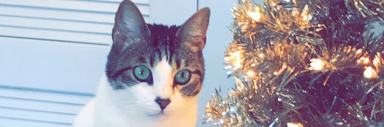 alibergerr's profile banner image