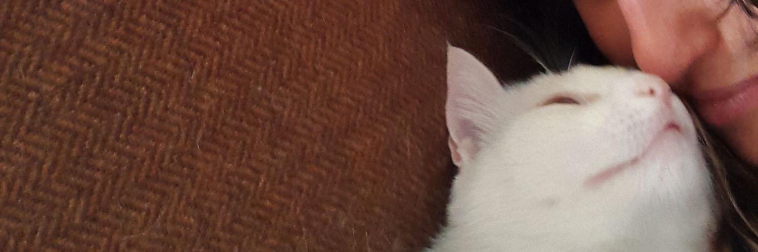 FOKIGORDA's profile banner image