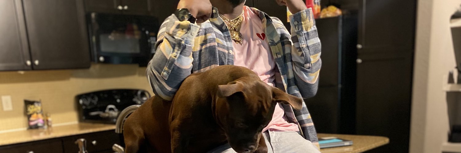 Ghost in A Shell banner