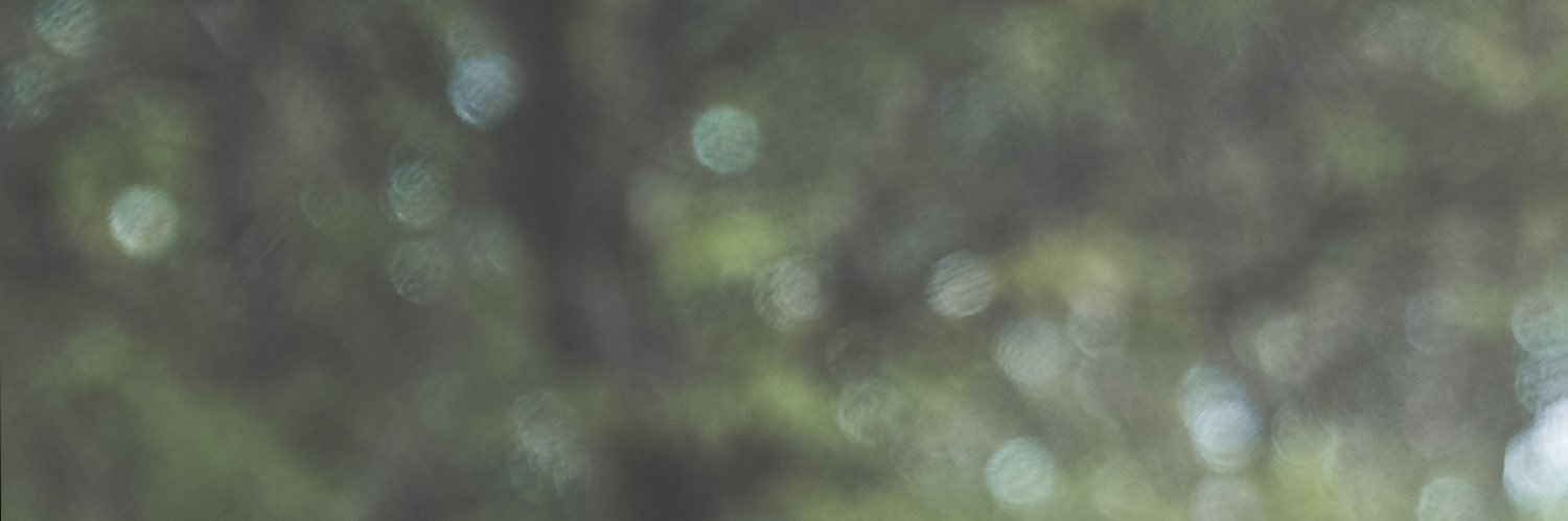 SaintKristoffer's profile banner image