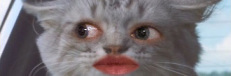 thelaurahey's profile banner image