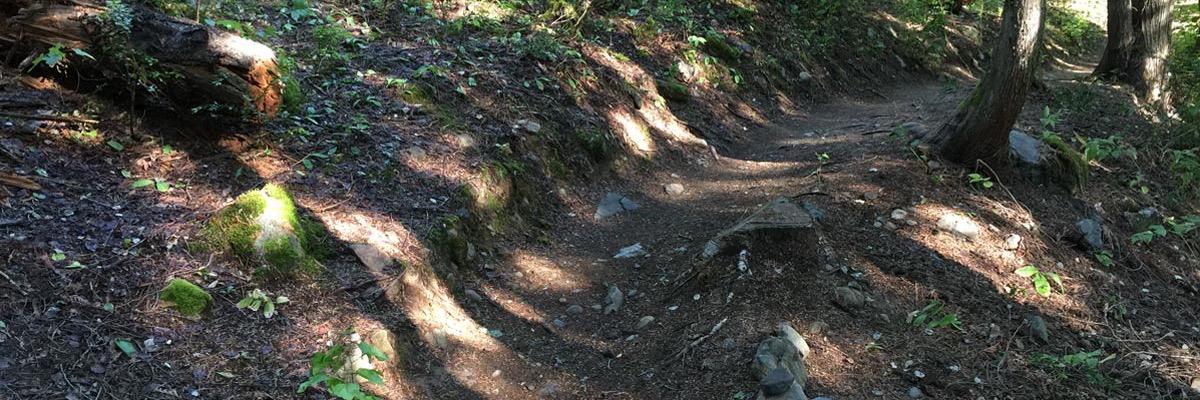 MonasheeTweets's profile banner image