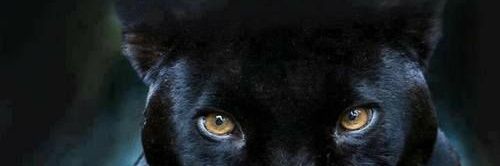 Belén..🇪🇨🍀 banner