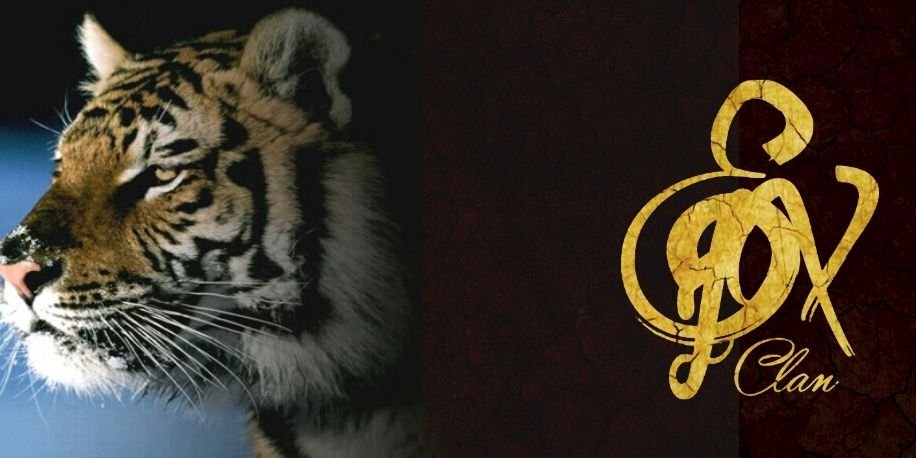 ExplicitClan_'s profile banner image