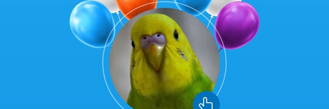 MeLiKeDrdg's profile banner image