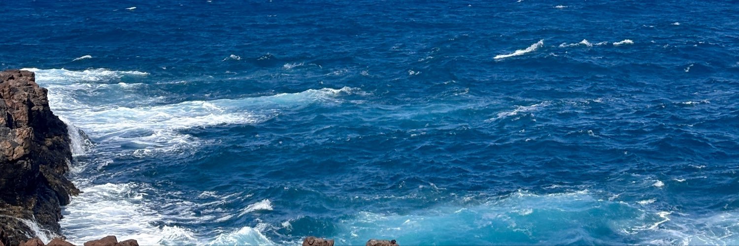 Floopi_vargas's profile banner image