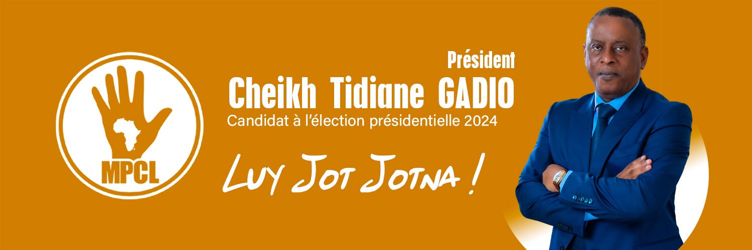 Dr Cheikh Tidiane Gadio banner