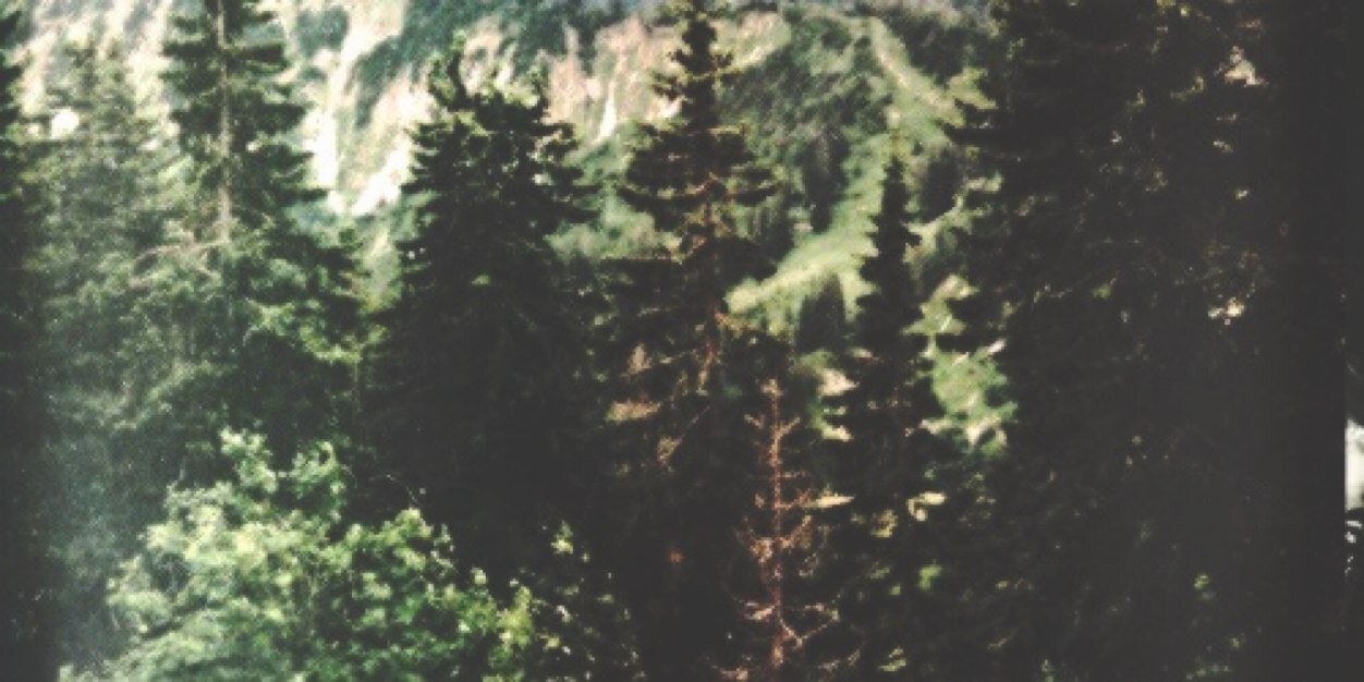 averyahsgdr's profile banner image