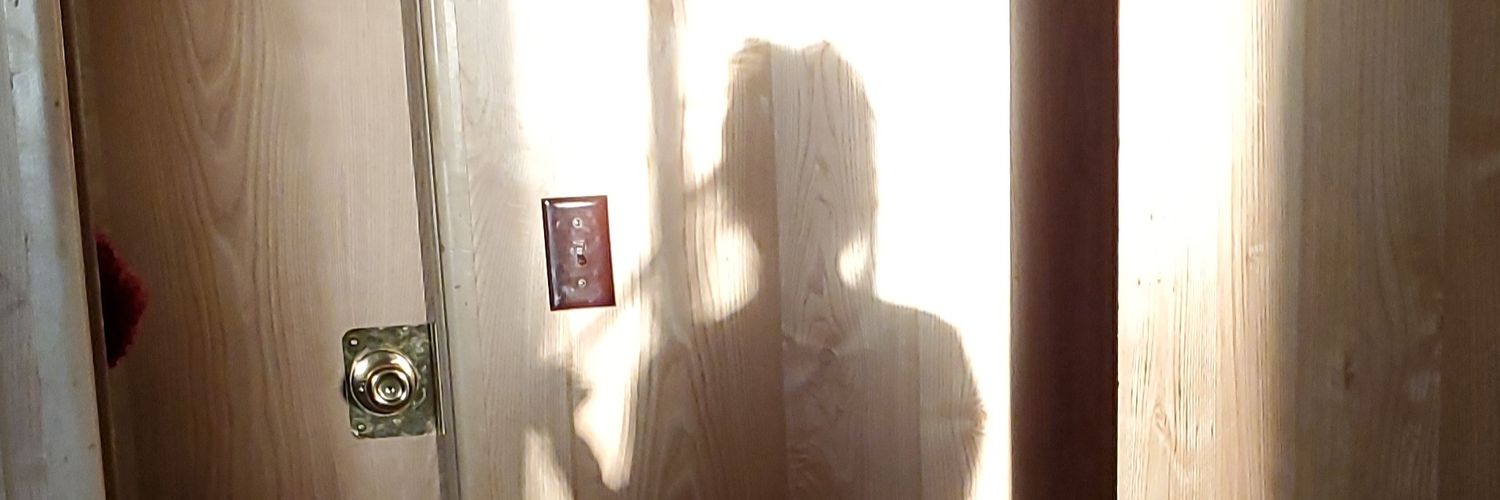 Dimmplesz's profile banner image