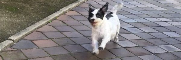 Andersblues Profile Banner