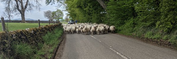 morgannewbs Profile Banner