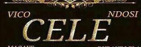 zandiledlamz's profile banner image