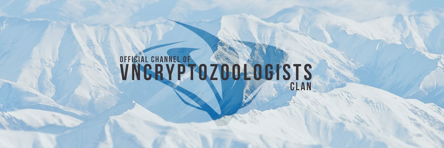 VNCrypto's profile banner image