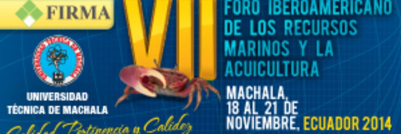 VIIFIRMAEc2014's profile banner image