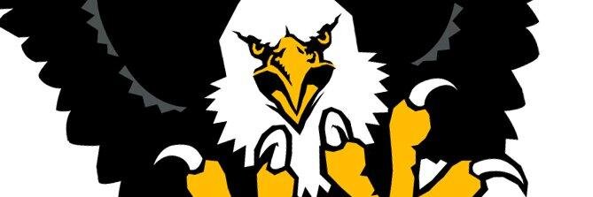 LG_Eagles's profile banner image