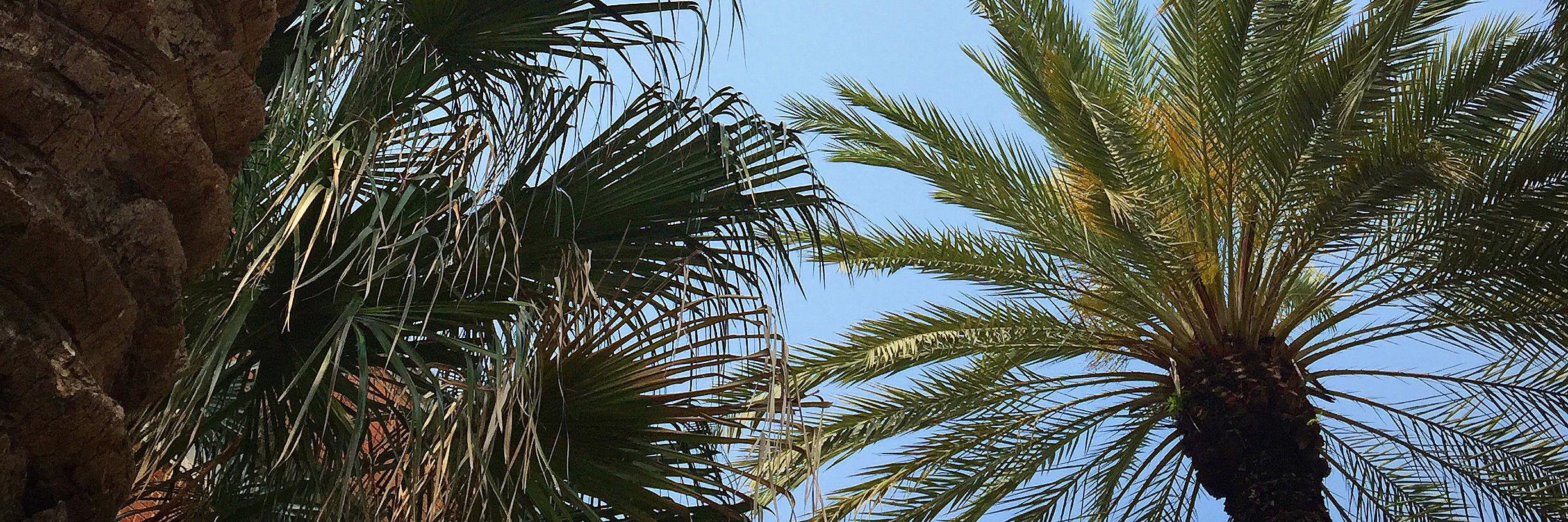 Operations Camp banner