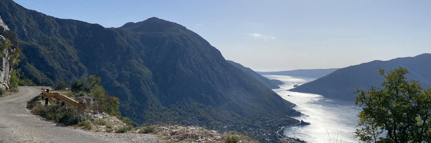 Victoria McKenzie banner