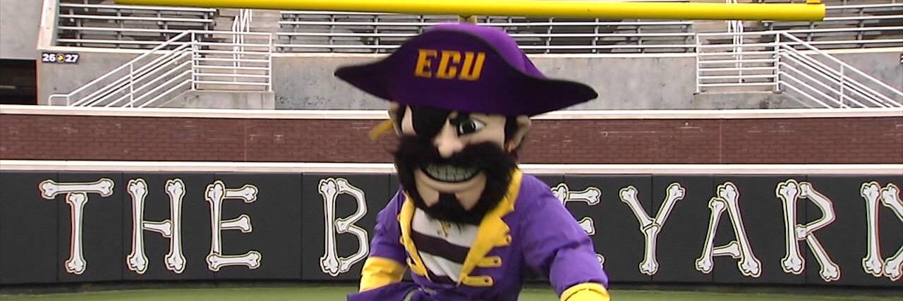 Pee Dee's banner