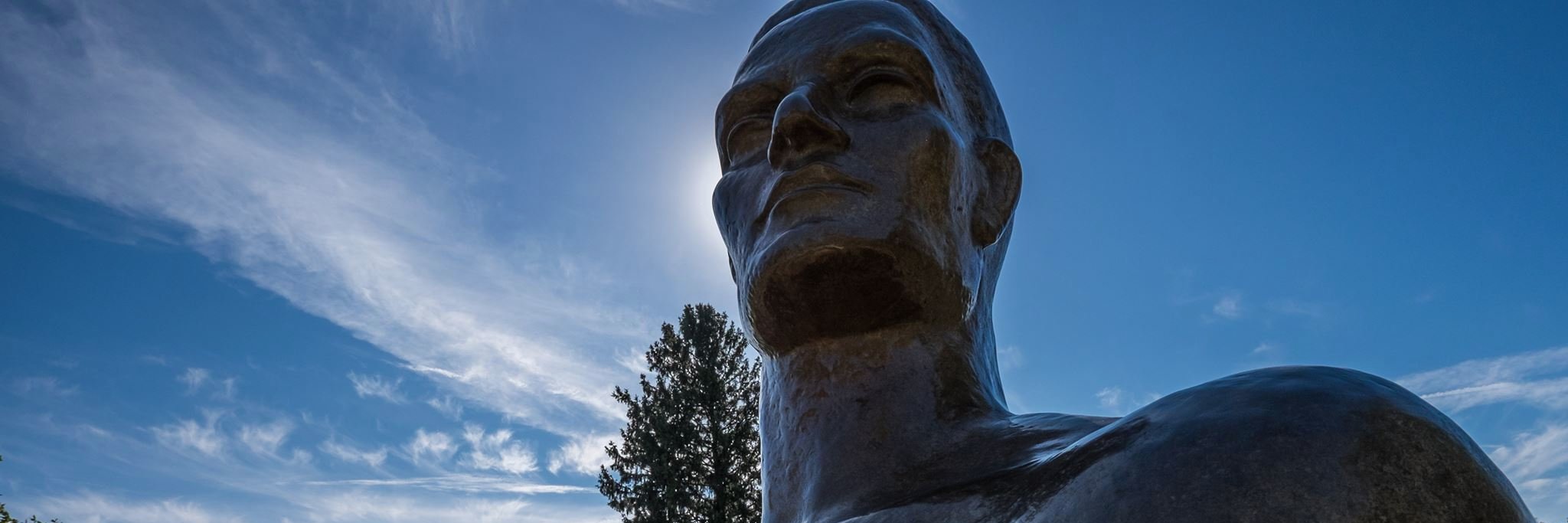 MSU Advertising + PR banner