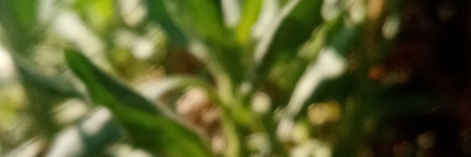 j_Chapingo's profile banner image