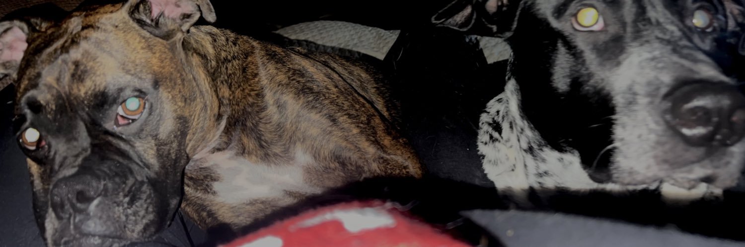 alliegato_'s profile banner image