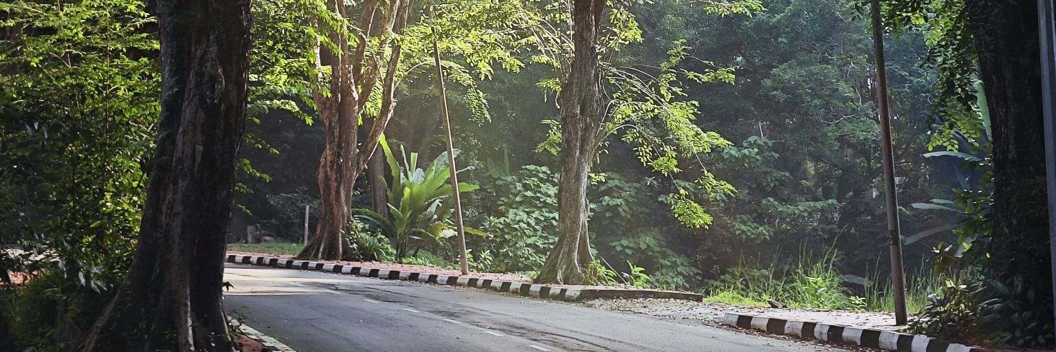 om4rs's profile banner image