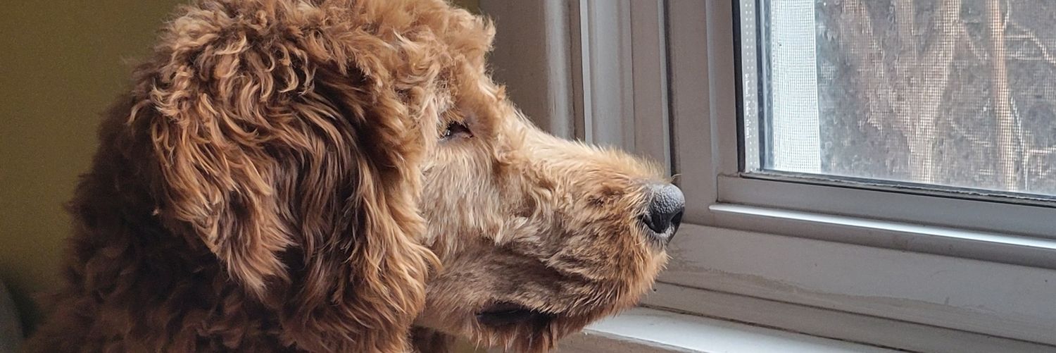 Fentjamin Bentanyl banner