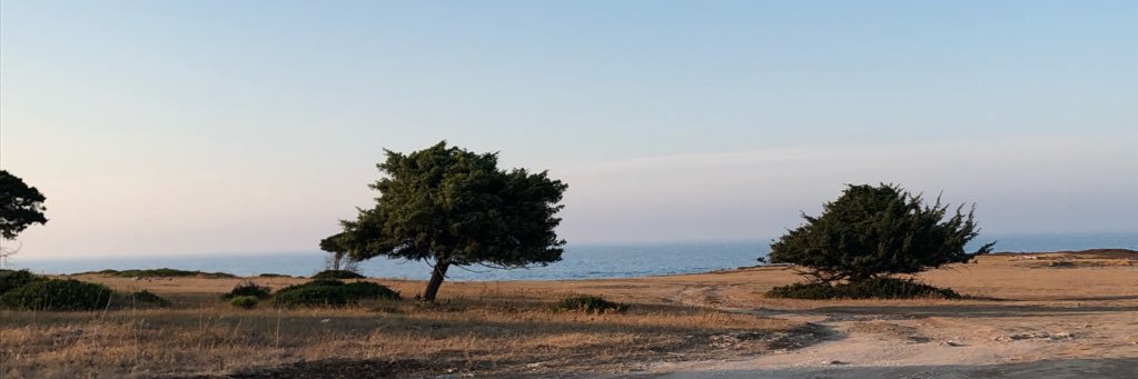 indishoe's profile banner image