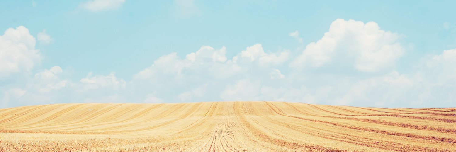 xjaliu's profile banner image