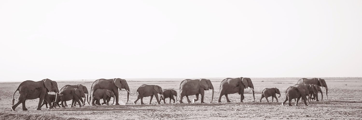 kenyajon's profile banner image