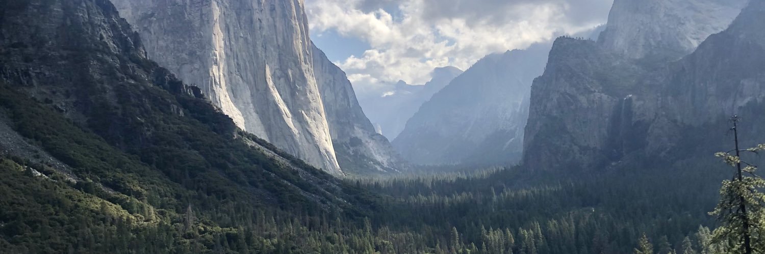 Ashley Wessinger banner