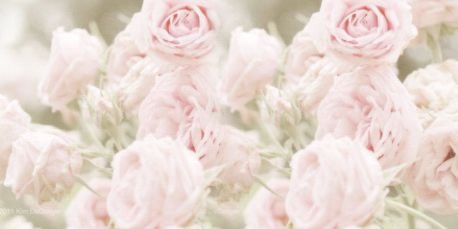 _MundoIcons_'s profile banner image