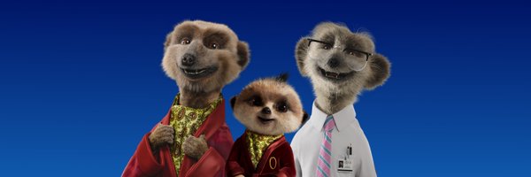 comparethemktAU Profile Banner