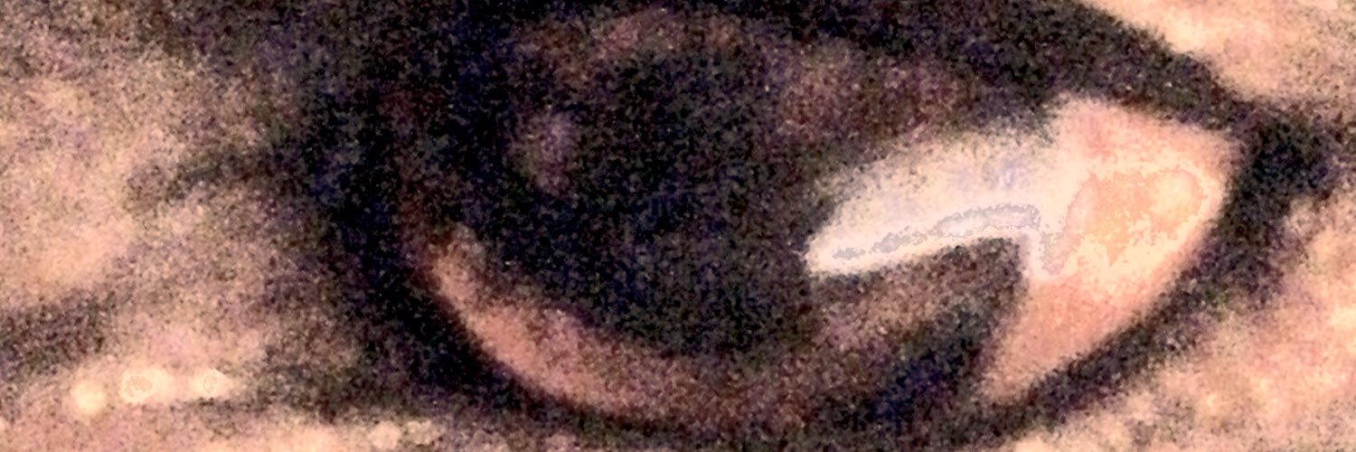 prudenciap's profile banner image