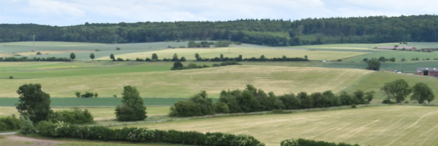 Elke Brandes banner