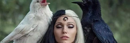 RodolfoRodosan's profile banner image