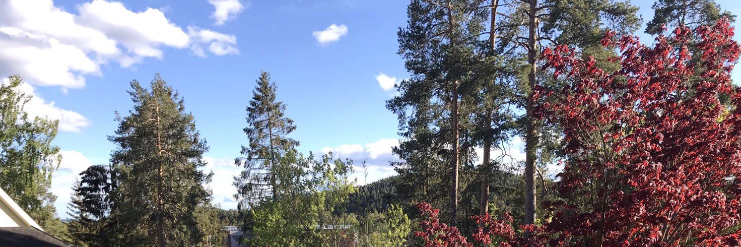 jonasfpaulsen's profile banner image