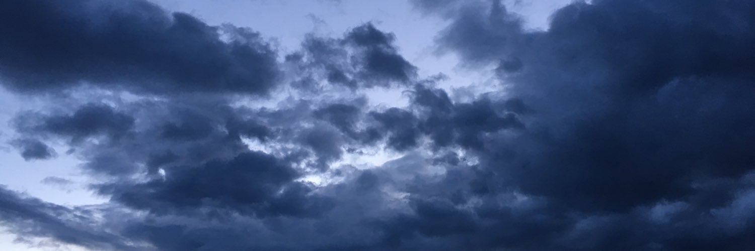 LissaBoyce's profile banner image