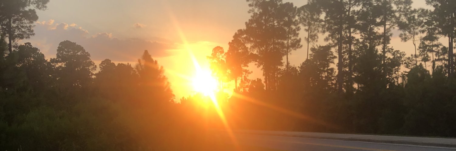 Ray Simoneaux⚜️⚓️ banner