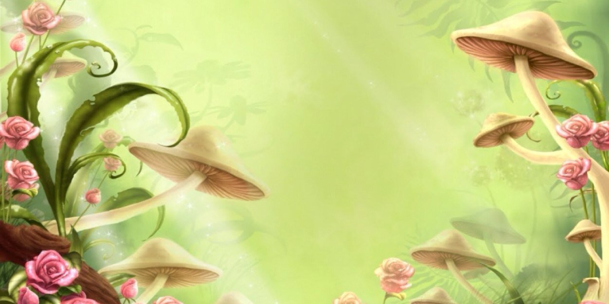 AndaGinger's profile banner image